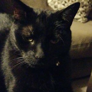 Meet your Posher, Mary beth